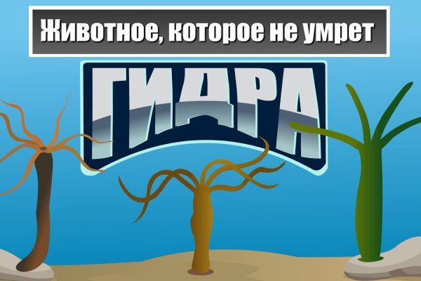 Кракен тор ссылка онлайн