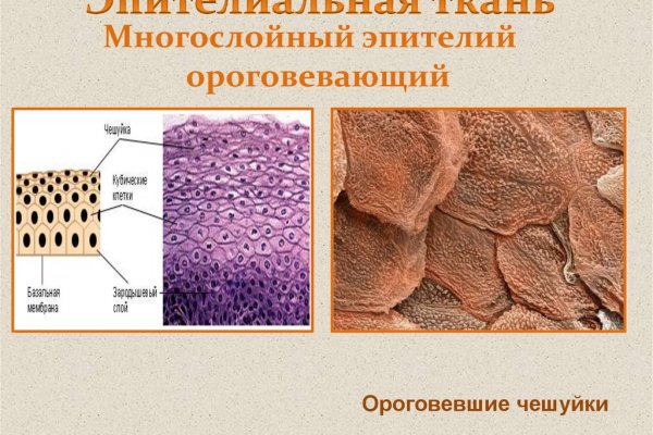 Кракен маркетплейс ссылка krakenat2krnkrnk com